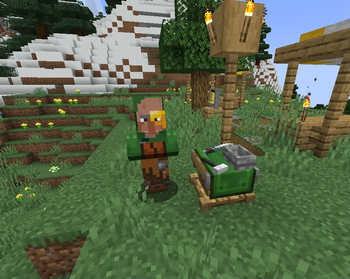 Village Merchant