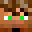 Minerguy341