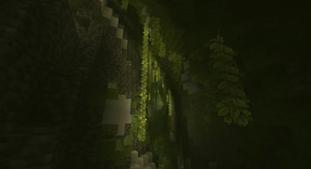 Lush Cave Fog
