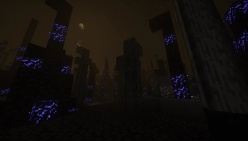 The Charred Forest