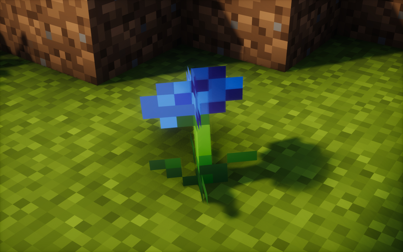 Blue Poppy - Gallery