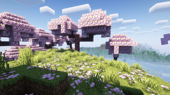 Shaders