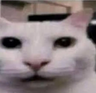 vctrxd