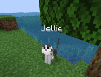 A Jellie Cat named Jellie (by the Datapack)