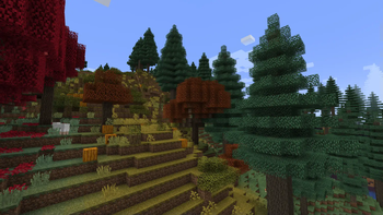 Pumpkin Patch + Coniferous Forest Biomes