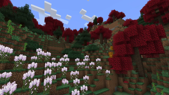 Field + Maple Woods Biomes