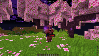 Armor, totem and sword