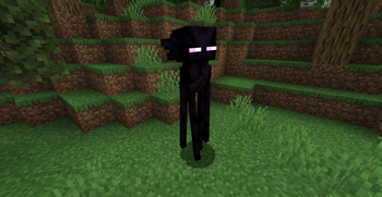 Enderman Giving You The Side-eye