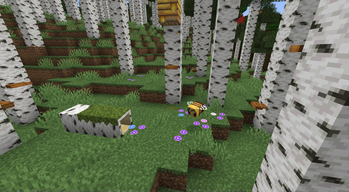 Improved Birch Forest