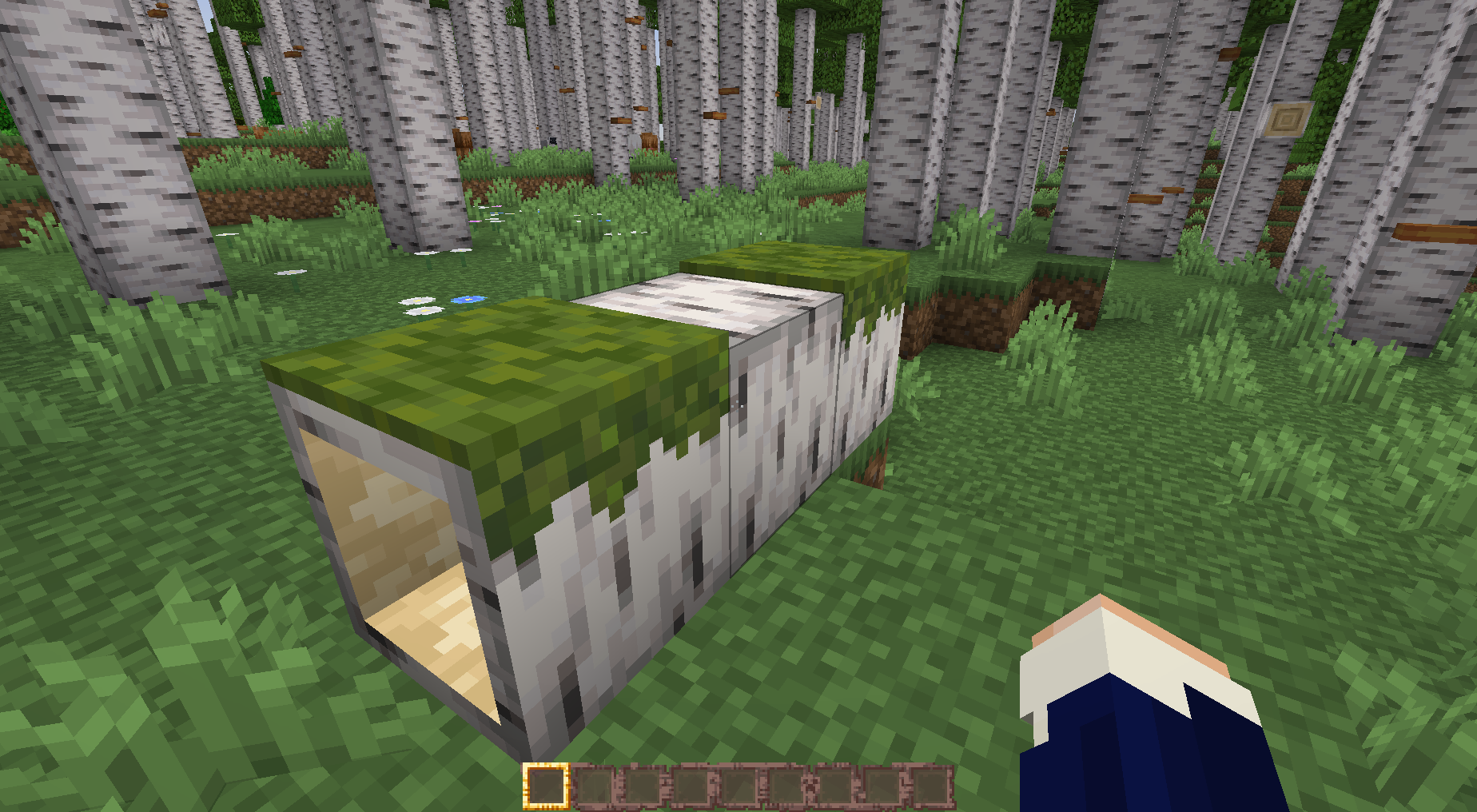 This shows a fallen birch log, with the textures being changed by a resource pack, Jicklus. This should work with most resource packs.