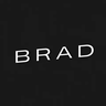 Modrinth profile picture for @brad