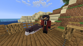 Netherite sword