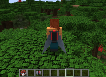 Slick Elytra