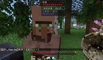 Gifts from villagers