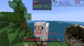Players beg from creatures