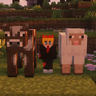 Player Scaler