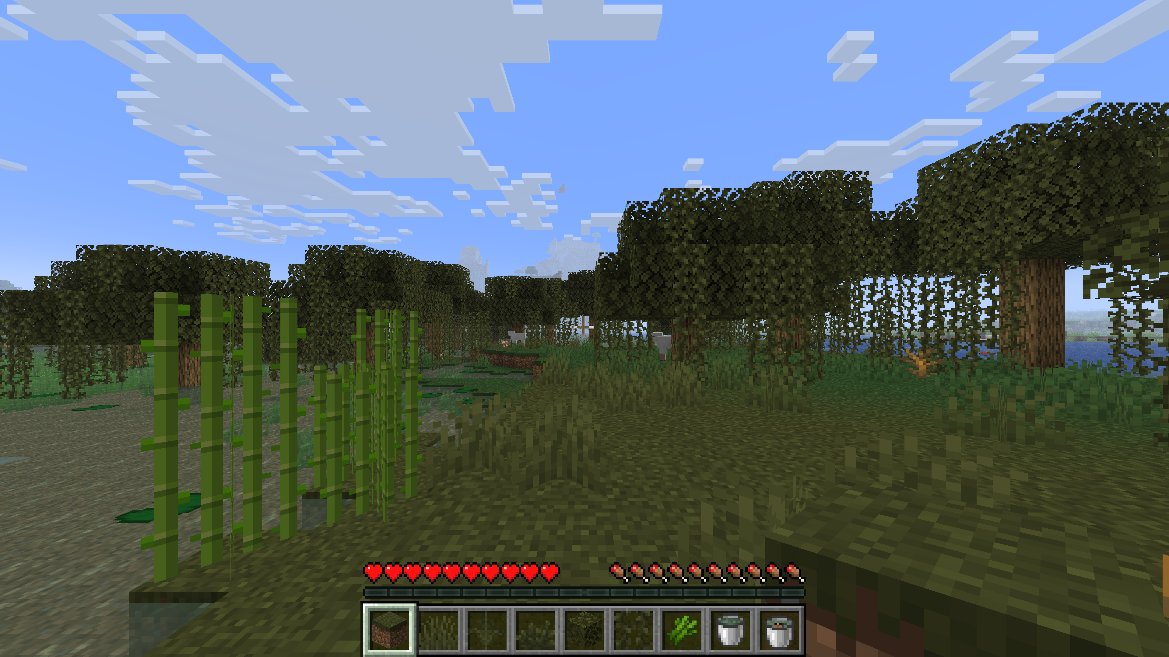 Swamp