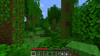 Jungle
