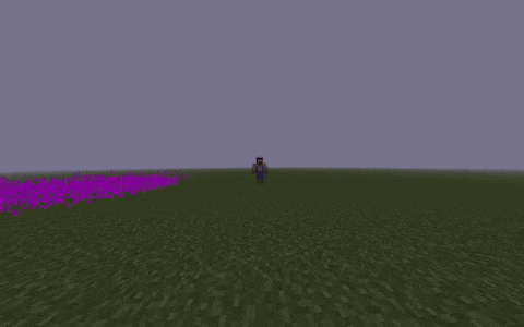 Ender Dragon Attack