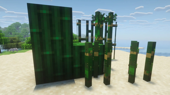 Tropical Bamboo