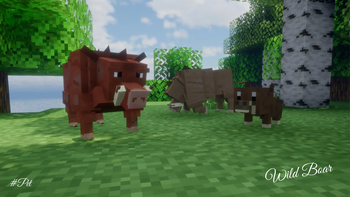 Boars
