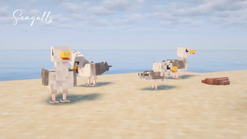 Seagull