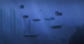Sardines