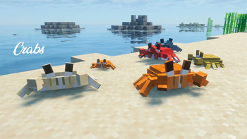 Crabs