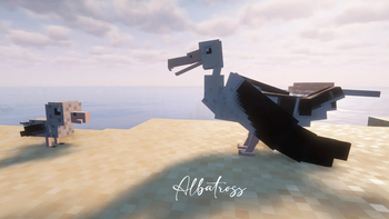 Albatross