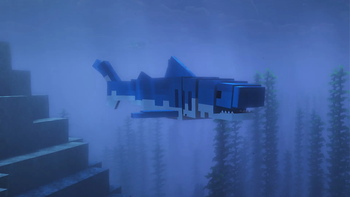 Blue-Shark (Prionace glauca)