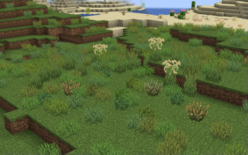 Plus Version of Grass and Bushes