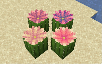 Plus Version of Cactus Flowers