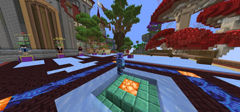 Server