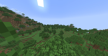 Sesonal Forest