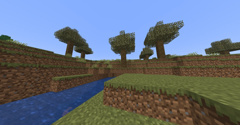 Shrubland