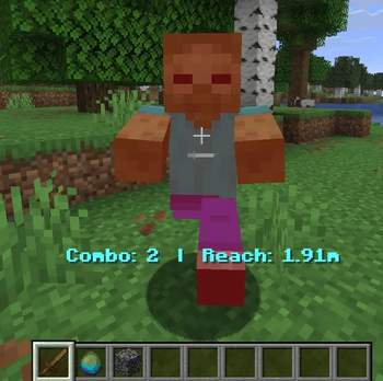 Combo/Reach Counter