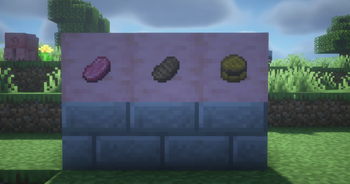 The New Food Items