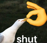 Shut Up Narrator