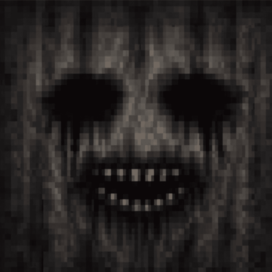TheHider