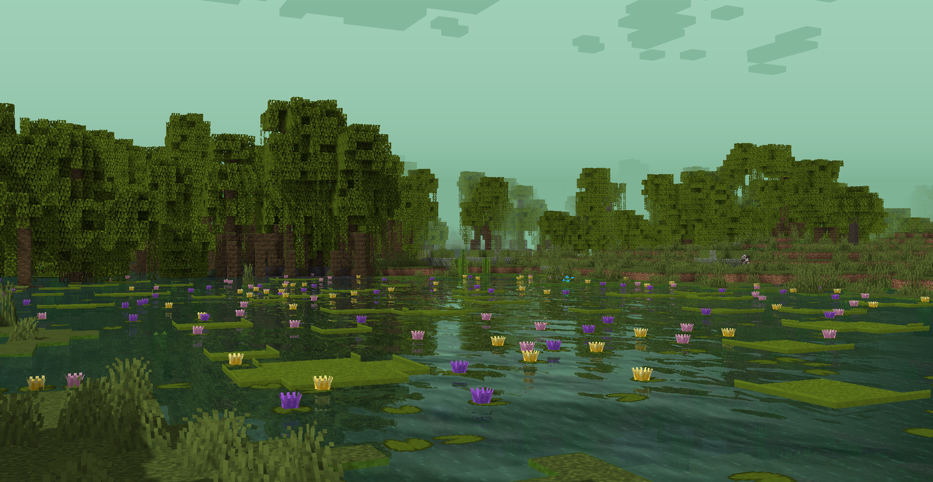 Marshy Swamp 