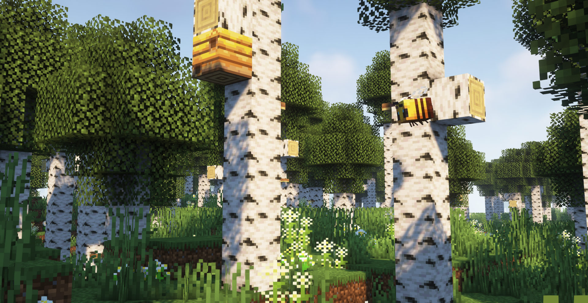 Bees adaptation with new tall birch trees
