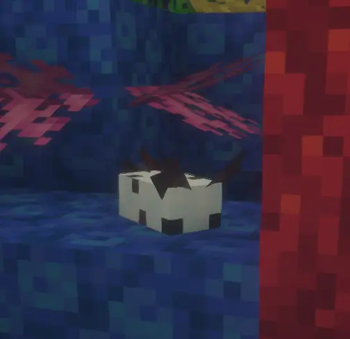 Sea Bunny