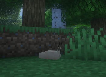 Slug