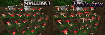 Mushroom Variants