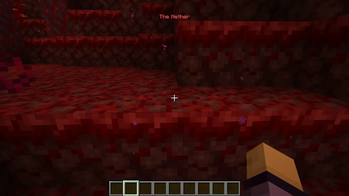 The Nether Entrance