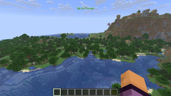 Birch Forest & River
