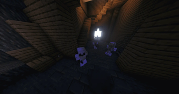 One of the Dungeons