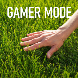 True Gamer Mode