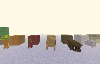 Crops 1