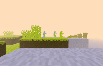 Plants